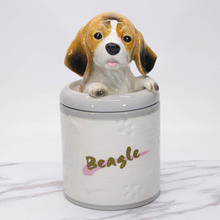 մܷބϵпͨǹճҾӃ޼ӹl