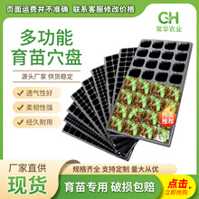 ����PѨ�P�бP��������P���������P�߲˺�������Ӻ����������P