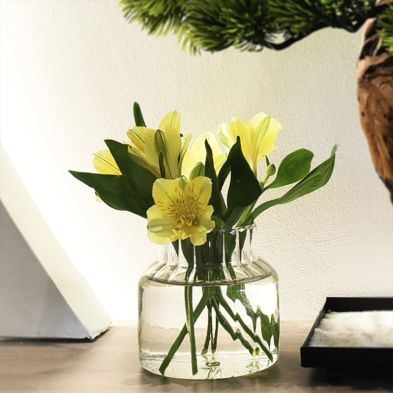 Inswind vidrio transparente vasos ornamentados escritorio simple acuicultura vasos flores secas flores personales vasos de flores hidropónicas