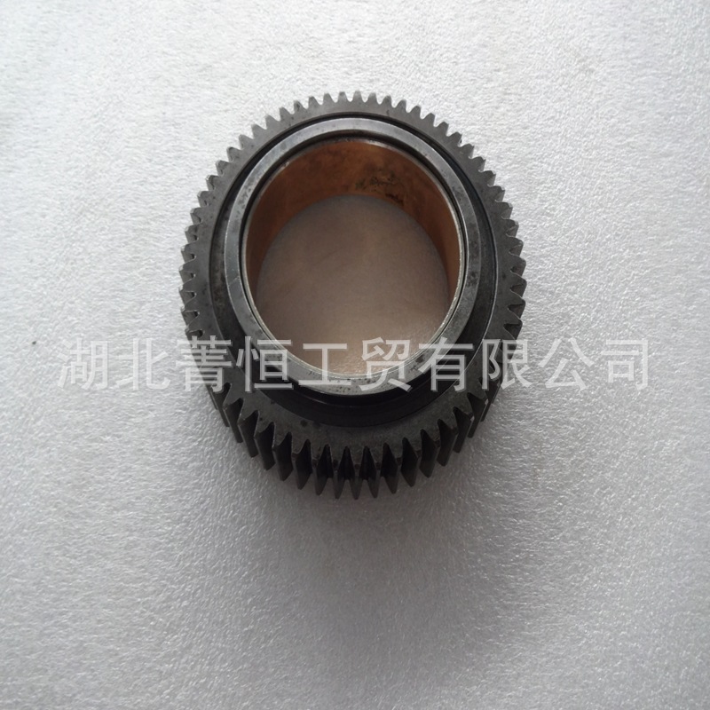 High Pressure Oil Pump Idler Gear Assy D5010477057
