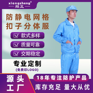 Wow, Anti-Static Clothing, Two-Piece Suit for Men, Mesh Button-Up Static Clothing, for Electronics Factories, Food Factories, Workshops, Dust-Free Clothing for Women