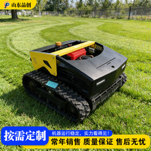 Remote control lawn mower �Ĵ����߸�ݻ� �ĵ��Ӳ������豸