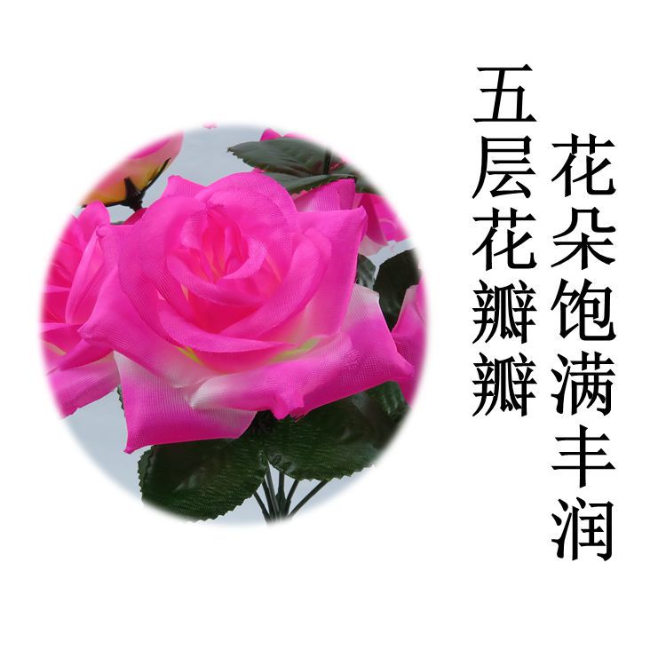 7头卷边玫瑰产品介绍1.jpg
