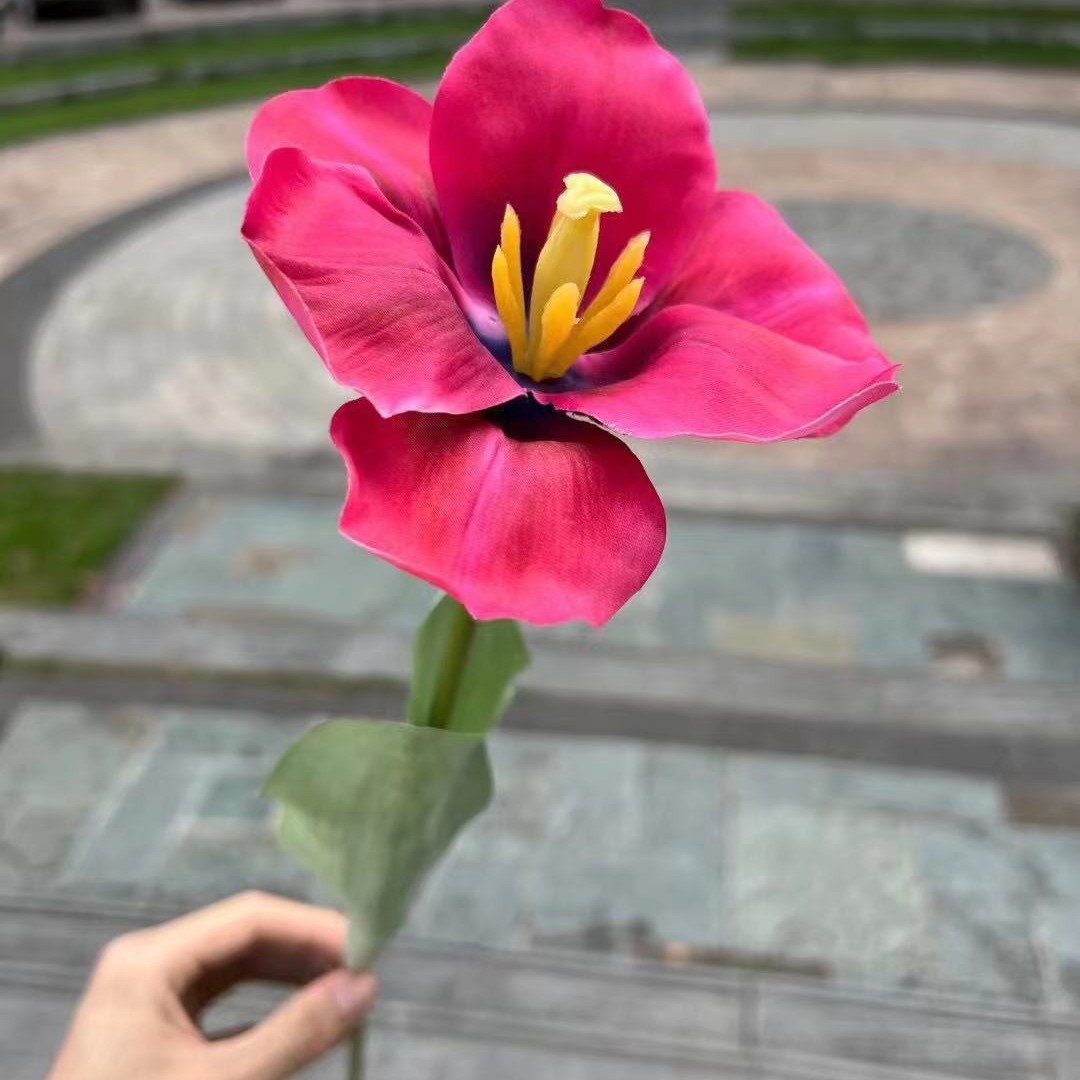 Flor grande sentir tulipán rojo