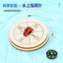 水上幼儿园实验制作磁铁