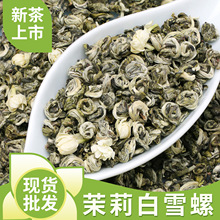 横县厂家批发茉莉白雪螺散装曲螺花茶浓香型茶叶整箱特级茉莉花茶