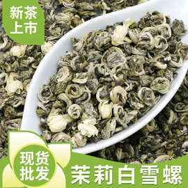 横县厂家批发茉莉白雪螺散装曲螺花茶浓香型茶叶整箱特级茉莉花茶