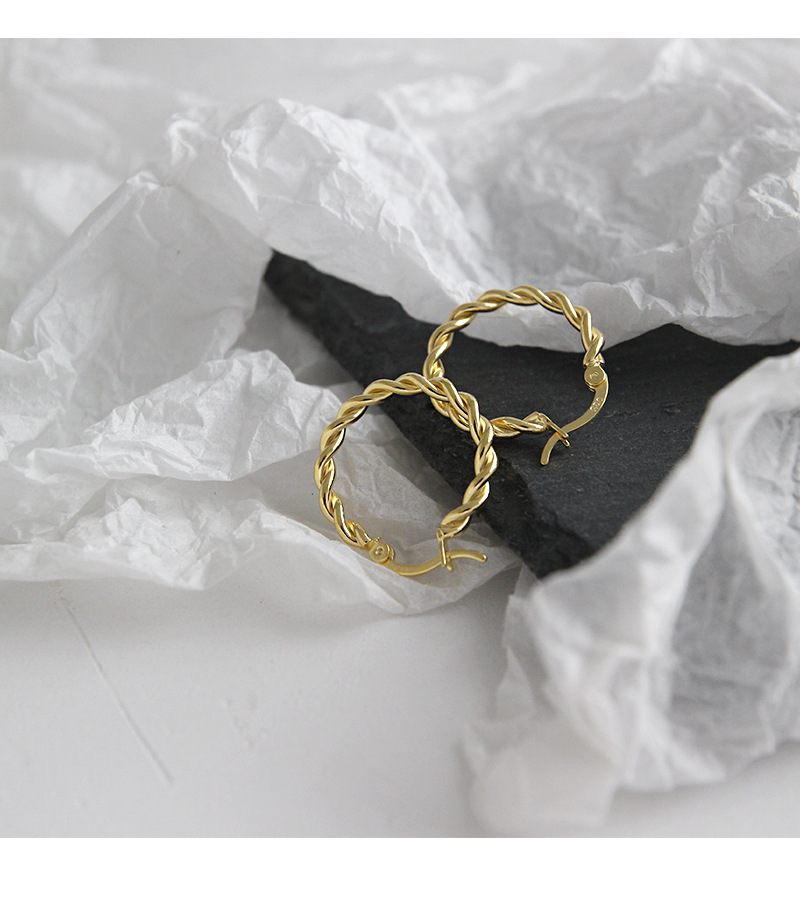 simple twist earrings fashion personality earrings ear bucklepicture5