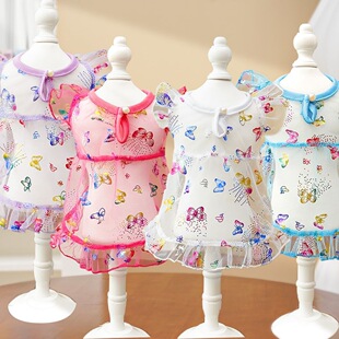 �󹷽�ë�����·���Ʒ؈�乷���ļ�����͸��W���B��ȹ����ȹ����