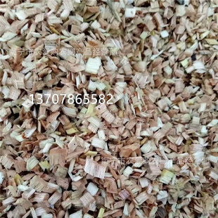 �sľм ʳ�þ�������| �N������ �V�������F�����ľм����