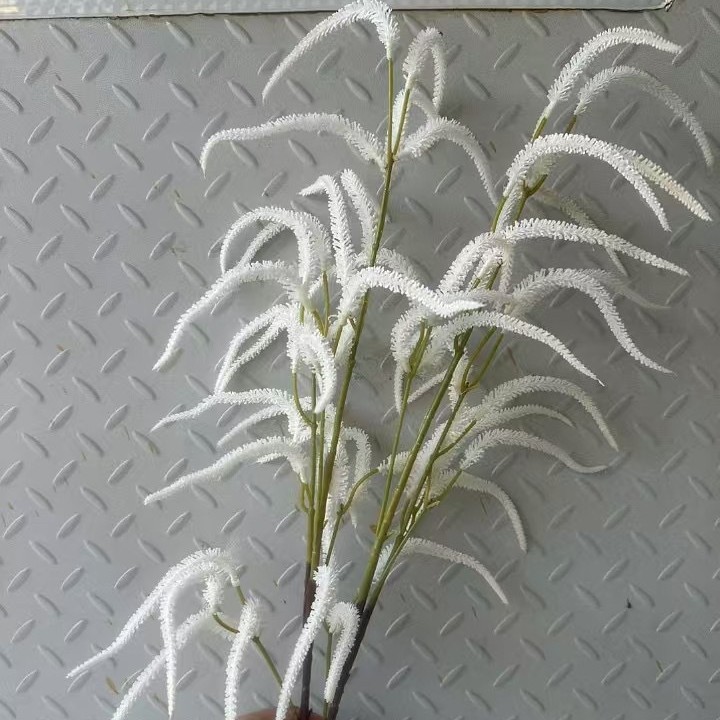 하얀색