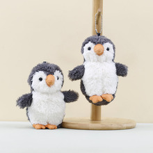 ɐۻZëq߹żץCl耳׿ے