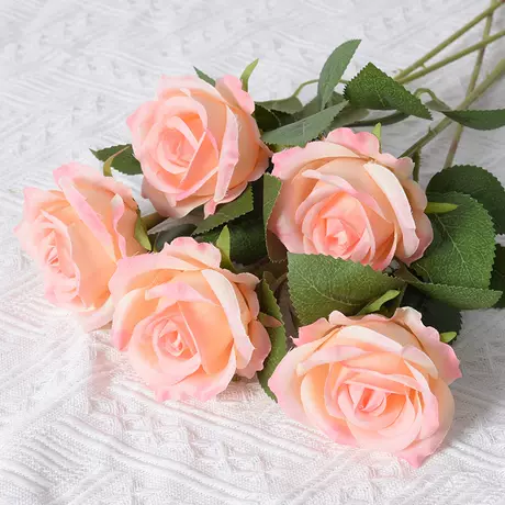 Pink Champagne (silk cloth version)
