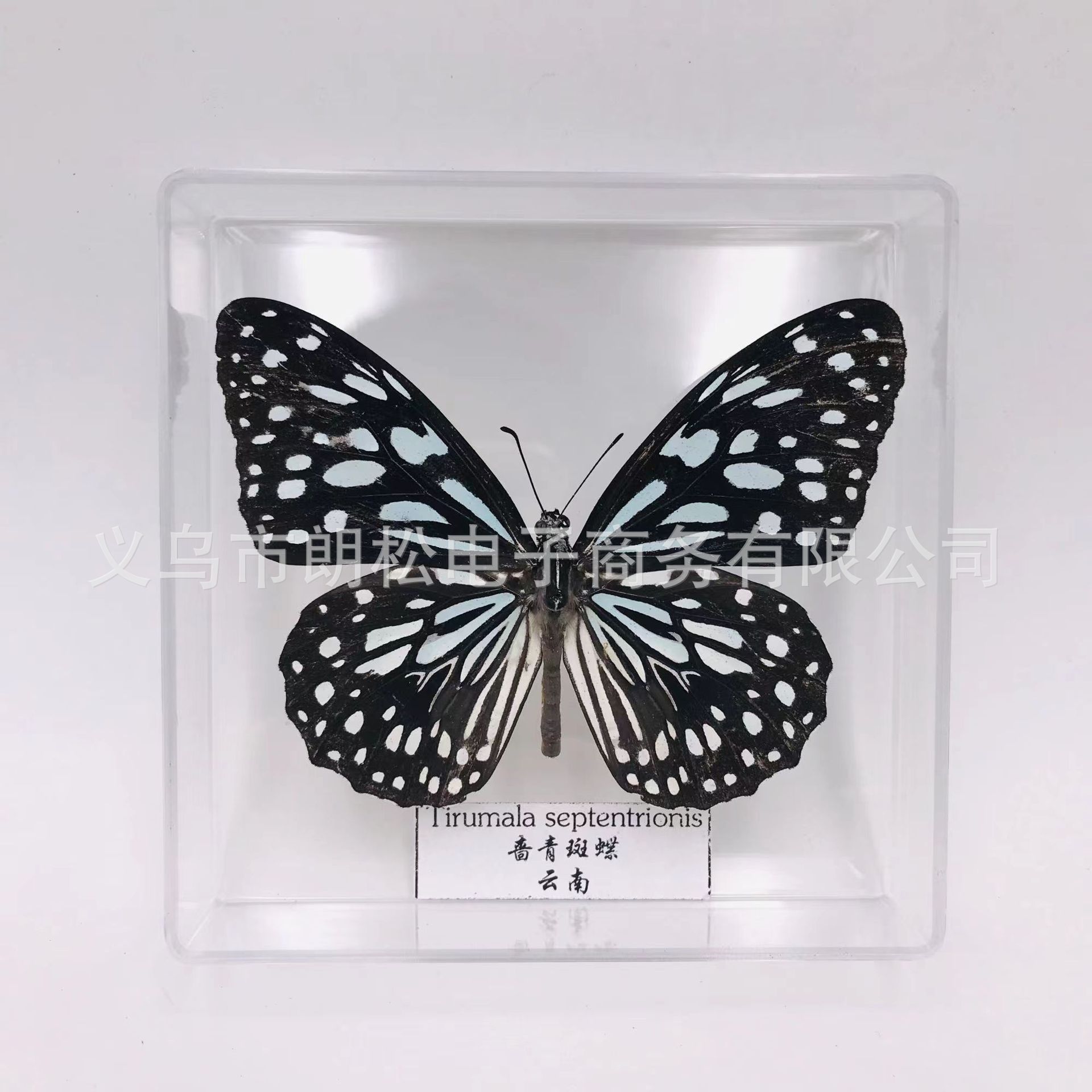 7ed922232ea1b55e2bad5a2845f61c