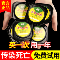 Yukang 家庭用ゴキブリ薬、全巣、屋内キッチン、レストラン、ゴキブリ駆除、非無毒の本物のグルーベイト