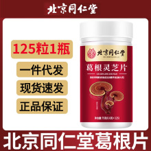 北京同仁堂葛根灵芝片加班熬夜喝酒伤肝应酬压片糖果现货批发代发