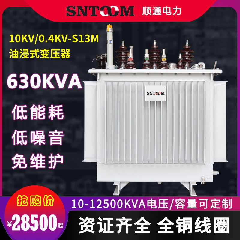 S13M大型工业油浸式电力配电变压器高压10KV250全铜315/63/630KVA