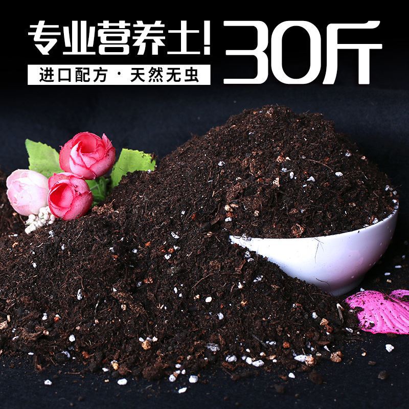 花泥多肉土专用有机土种花的营养土种植土家用包邮通用型花盆栽土