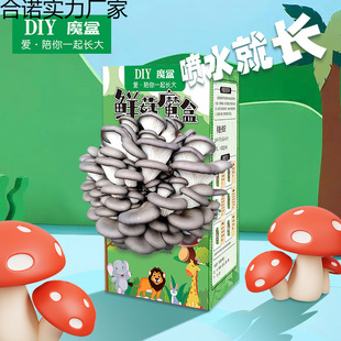 Ģ�����Ӿ������Nֲ���ÌWУ���YƷ�׃��@�N��ֲ��ä�ж��⸣��