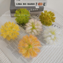 ����С�ѹ�Ӣ���^ ���z��diy���h�^���������Y�û����廨����
