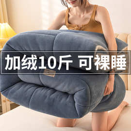 纯色简约羊羔绒冬被家用加绒加厚被子被芯学生宿舍保暖厚被子冬被