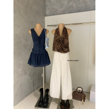 ʩ��WGWE8481���������������ϵ��V��С����������ȹ��װ������