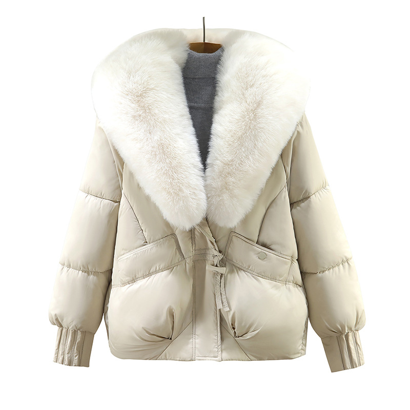 2025 comercio exterior transfronterizo nueva ropa de algodón de moda mujer cálida gran cuello de cabello temperamento coreano corto abrigo de algodón de mujer