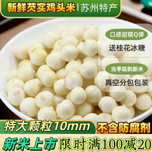 �u�^�����r�͌��K���خa�K�ͷ��ք��ش��w���������Юa��ֱ�N