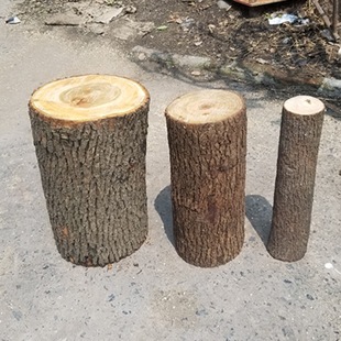 ��ľ���������ɼľ�ɿ��Ę䘶�Aľ����ľ��ľ��֧�ܵ�����c����