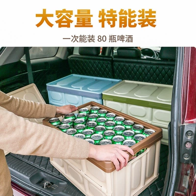 Car storage bag/box: box car storage box car