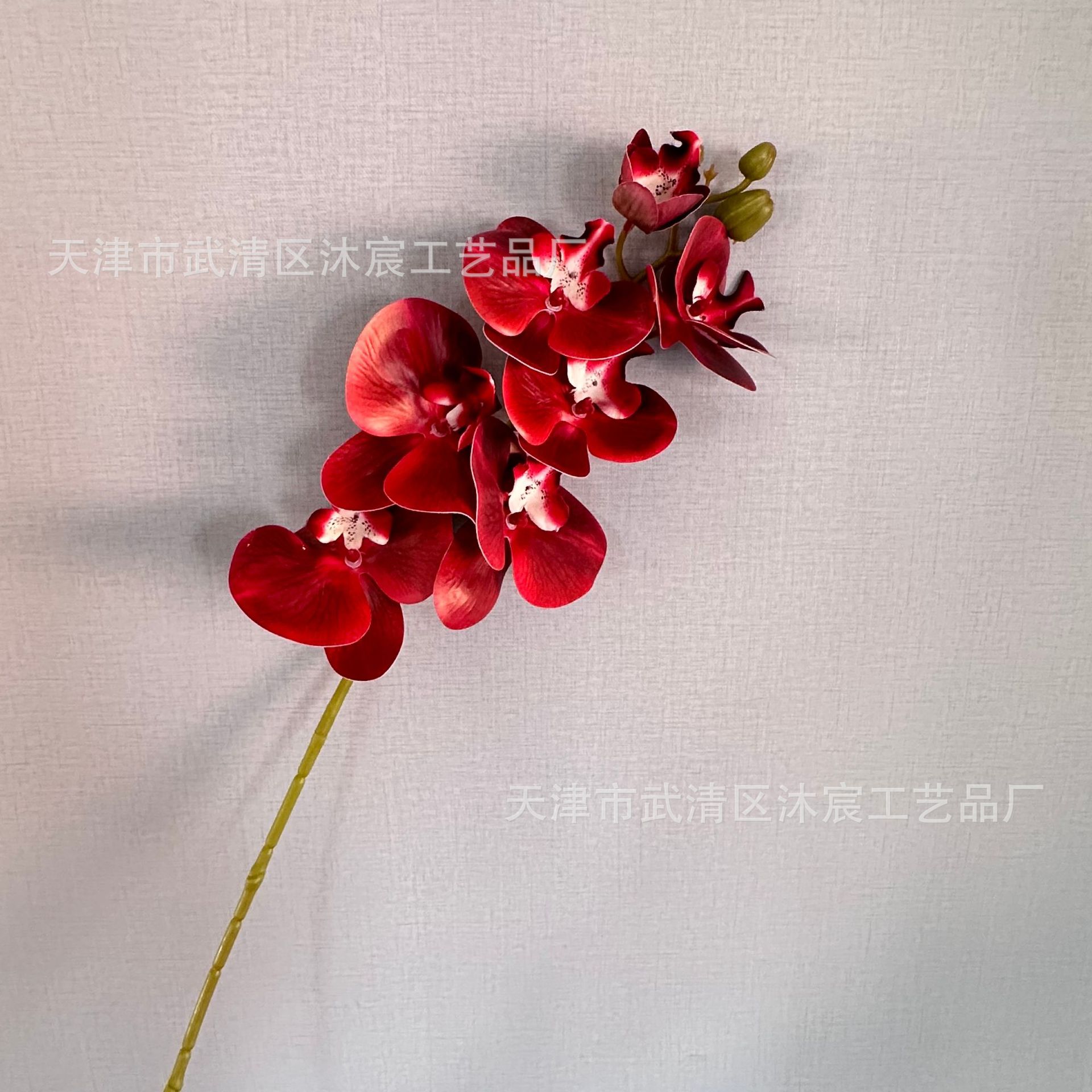 3D 7-cabeza Phalaenopsis mano-sensación de película Phalaenopsis venta al por mayor boda hogar decoración floral tiro flor material