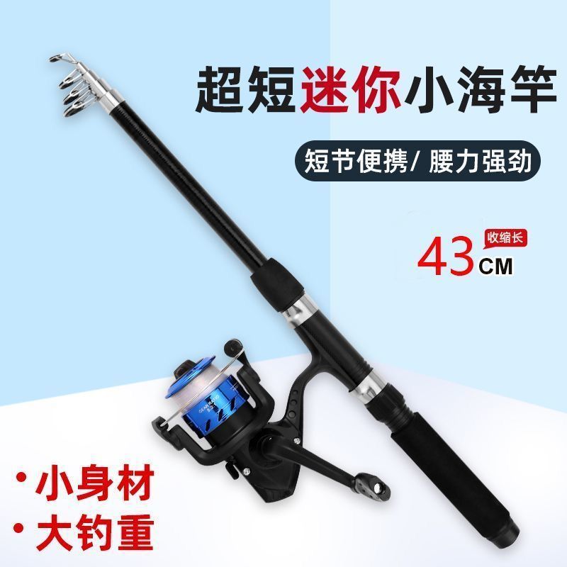 Complete Set of Sea Fishing Rods for Targeting Whitebait, Mini Sea Fishing Rods, Complete Set of Sea Fishing Rods, Portable Sea Rods, Long-Casting Rods