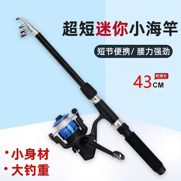 Complete Set of Sea Fishing Rods for Targeting Whitebait, Mini Sea Fishing Rods, Complete Set of Sea Fishing Rods, Portable Sea Rods, Long-Casting Rods