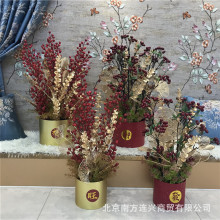 ���滨�ʽ𻨰lؔ�������b�ɫ�y���~���~�ȼ����������Ͱ����