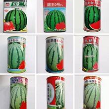 ���ϷN�����8424���ϷN���������tȿ��������ϷN�Ӵ�������N