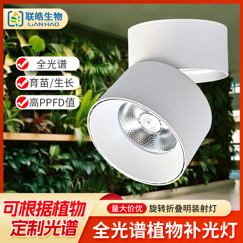 LED fill light