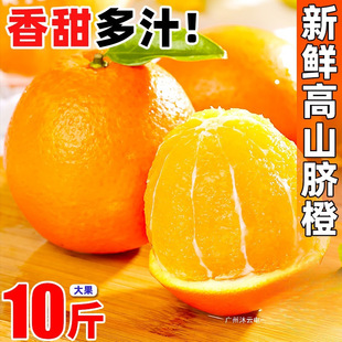 �����ĳ�10������b���r���������ˮ�������������5���]������