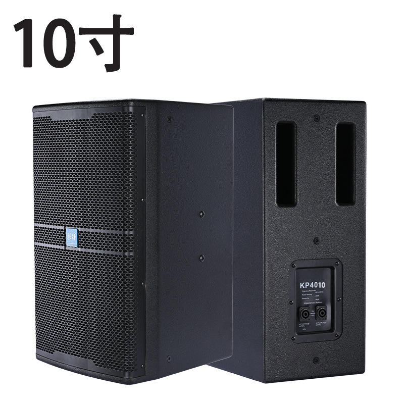 Un altavoz de frecuencia completa de 10 pulgadas (150 magnético)