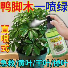 ����ľ�����ЙC�ʼ����S�~���~���~���_ľ����������þGֲ�I�BҺ