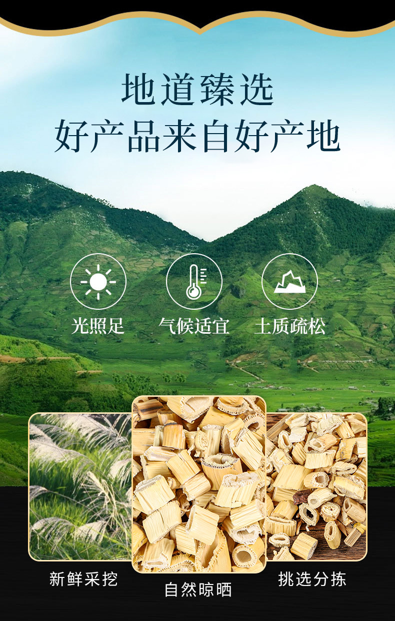 Lu Gen (Phragmites communis) Dried Reed Rhizome — Food Herb for Cooling Teas & Soups overview