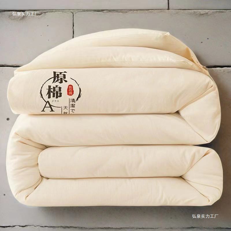Raw Cotton Soy Fiber Spring & Fall Quilt Student Dormitory Winter Thickeneded Double Quilt Summer Quilt Air-Conditioned Quilt Universal for All Seasons