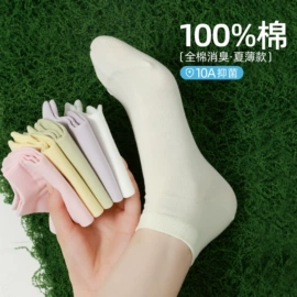 运动休闲棉袜;船袜、隐形袜;堆堆袜