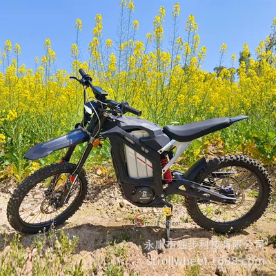 of 85KM/H, Elektrikli motosikletlər