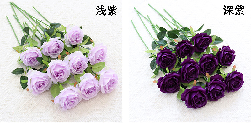 单支卡罗拉玫瑰 (7).jpg