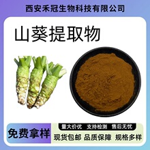 山葵提取物10:1多规格山萮菜绿芥末提取物水溶性原料山葵粉现货
