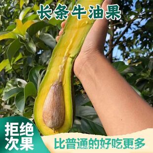 �V���L�lţ�͹����rˮ�����a�{����������͹���������ʳ�ޟo��