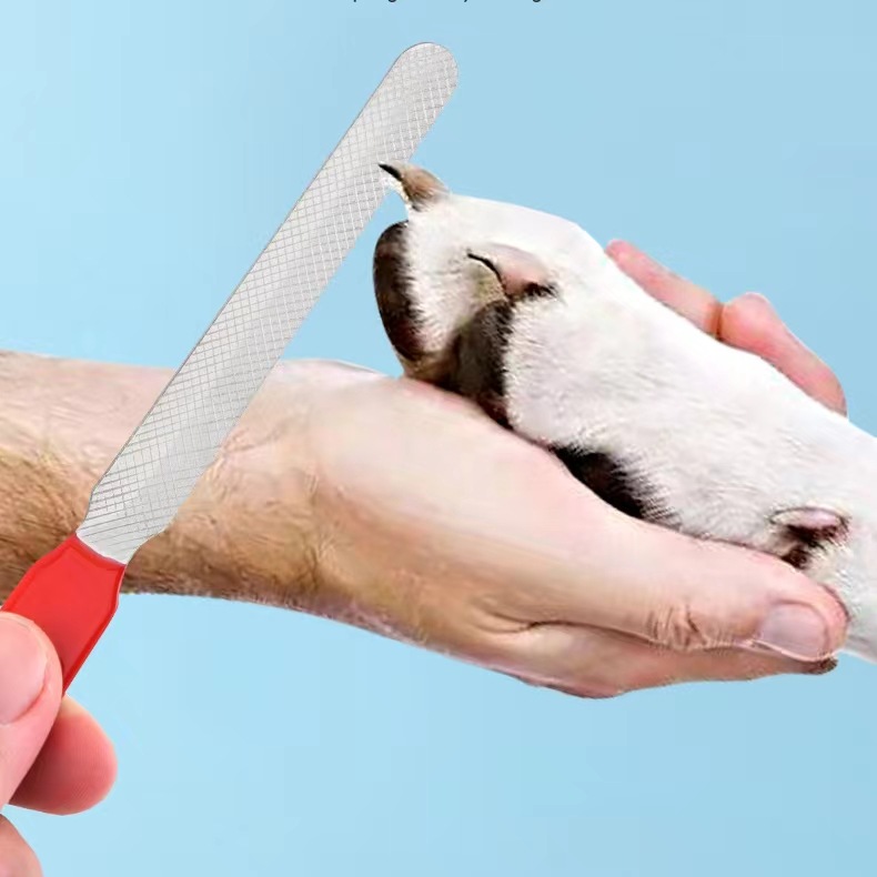 Cortaúñas para mascotas Cortaúñas para gatos de acero inoxidable con rectificador de uñas para mascotas Cortaúñas para mascotas Suministros esenciales para gatos