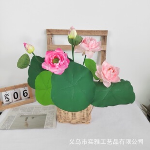 7�^���Uɏ�~ɏ��������~�ɻ���ɏ�� ��ʽ��@�L�����b��Sֱ��