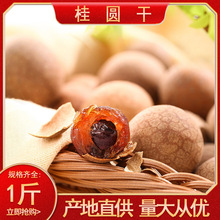 整件散装批发福建凤梨穗天然桂圆干龙眼干核小肉厚自然晒干即食