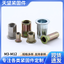 �S�����lƽ�^�Q�l�y���T��ĸ ���l�L���T��ĸ�ߏ�����ñ�T����ĸ